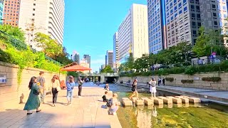 Seoul Trip! Cheonggyecheon, a real attraction in Seoul that foreigners love more! #Cheonggyecheon