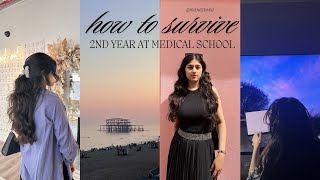 How to Survive 2nd Year of Medical School 🇬🇧| Knowledge Test, OSCE, Poster Presentation, Anatomy