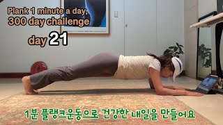 갱년기 아줌마의 뱃살빼기 프로젝트, 플랭크 하루 딱 1분/300일 도전, 21일째 #plankworkout #plankeveryday #plank