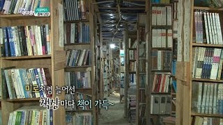 6시 내고향 - 시골길따라 인생길따라 - 충북 단양 2.20160620