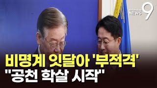 '친명 지역구' 나선 비명 후보들, 잇단 '부적격'…비명계 \