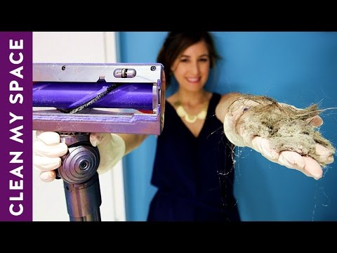 Just How Disgusting Is Your Vacuum Cleaner? Just How Disgusting Is Your Vacuum Cleaner?