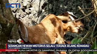 Warga Gunung Kidul Geger Temui Ternak Mereka Mati Mendadak #SIP 09/08