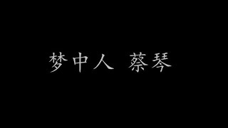 梦中人 蔡琴  (歌词版)