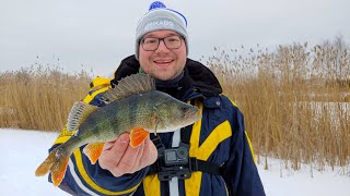 W KOŃCU GO ZŁOWIŁEM! | Nagrane BRANIA i HOLE Grubych OKONI | Podlodówka 2021 | VLOG #35