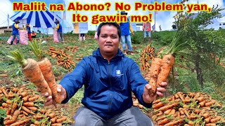 Paano Maka-Harvest ng Sagana Kahit Tipid sa Abono? Panoorin