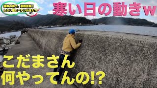 寒い時のこだまさんを隠し撮りw