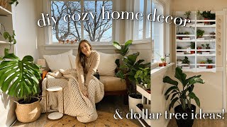 DIY Cozy Home Decor \u0026 Dollar Tree Ideas | Plant Wall and Sunroom