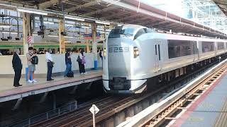 E259系クラNe009編成横浜駅発車