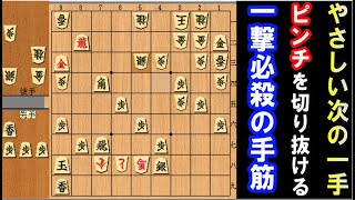 【やさしい次の一手】気持ちよい一撃必殺で「1手勝ち」に導いて下さい。（級位者・初心者向け）