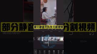 【手機版剪映入門教學課程 八】剪映CapCut教學 如何消除聲音呢？