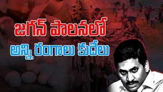 నాడు చంద్రన్న పాలనలో అన్ని రంగాలు లాభసాటిగా సాగితే.. నేడు జగన్ పాలనలో అన్ని రంగాలు కుదేలయ్యాయి..