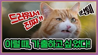 [허리케인] 드러워서 진짜!!! 나갈거야!!!! | 최일구의 허리케인 라디오