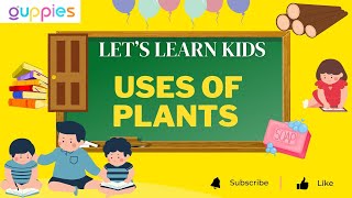Uses of plants for kids | Uses of plants for kids in english