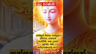 සුභම  සුභ දවසක් වේවා!🙏🏻🙏🏻🙏🏻 ඔබ සියලු දෙනාටම ♦️♦️#trending #buddha #dhamsisilayt 🗼🗼