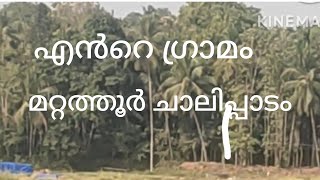 എൻറെ ഗ്രാമം മറ്റത്തൂർ ചാലിപ്പാടം  mattathur chalipadam