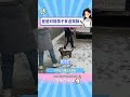 儿子妄图唤醒爸爸的良心 雪地里撒欢 打雪仗 双标 父爱 shorts