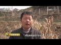 20170330 生财有道 话说获得感系列——安徽岳西：扶贫一年新变化