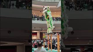 2023 Acrobatic Lion Dance Championship #全國高樁獅王爭霸賽 @ Central i-City #雪州八打靈再也群樂體育會