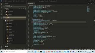 Basic Concept of Angular node modules and package json