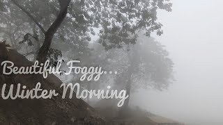 winter morning in Bangladesh   | কুয়াশাচ্ছন্ন শীতের সকাল | Travel with Anter