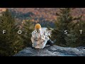 Forest | Beautiful Chill Music Mix