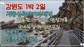 강원도 1박 2일 (정동진, 묵호)  뚜벅이 여행, 정동심곡바다부채길, 헌화로, 묵호 논골담길