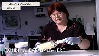Exhibit A Evil Lives Here