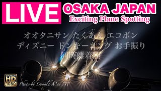 🔴 LIVE OSAKA ITAMI Airport ( JAPAN ) 2025/2/9 大阪伊丹空港   ライブカメラ