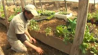 Hoop House Farming: Mulching Tips