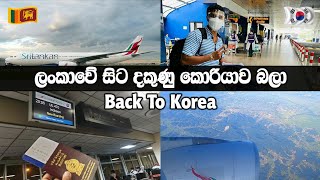 Back to South Korea|스리랑카 에서 한국으로|ශ්‍රී ලංකාවේ සිට දකුණු කොරියාව බලා |Srilankan Airlines 🇱🇰 ✈ 🇰🇷