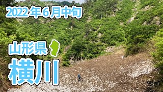 【東北渓流】河川紹介　山形県横川