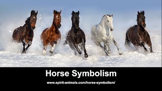 Horse Symbolism