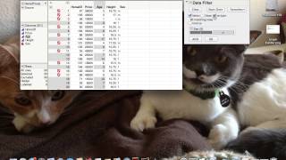 Subsetting your data set in JMP