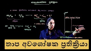 Topic 2 | Exothermic Reactions | තාප අවශෝෂක ප්‍රතික්‍රියා