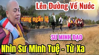 Từ Biệt SƯ MINH TUỆ 👉Xót Xa \