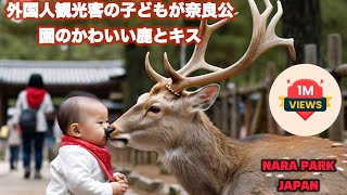 [外国人観光客] 外国人観光客の子どもがキスを通じて奈良公園のかわいい鹿と絆を深める | nara deer | 外国人観光客 | 外国人 | 外国人 日本食 | vlog