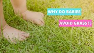 Why Do Babies Avoid Grass !?