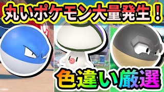 【丸いポケモン大量発生】ビリリダマ・ヒスイビリリダマ・タマゲタケ色違い厳選‼【ポケモンSV】