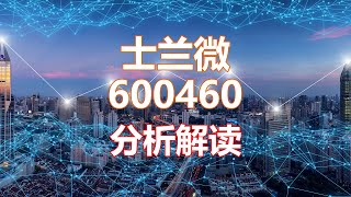 解读分析一家公司 士兰微600460 HankView