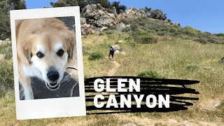 GLEN CANYON HIKE SAN FRANCISCO