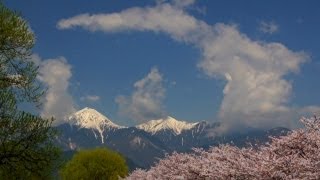 拾ヶ堰の桜と常念岳は安曇野を代表する風景だと納得した一日でした