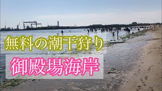 【田舎暮らし】潮干狩り　御殿場海岸