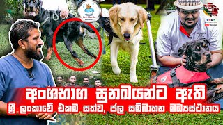 වාරු නැති අහිංසකයන්ට හිටගන්න වාරු දෙන  Pet Physio | Hydrotherapy Physiotherapy Water Therapy Petcare