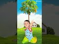 papaya tree papayafruit cutebaby babyshorts ytshorts trending viral shorts