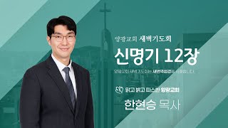 2025년 2월 12일(수) 양광교회 실시간 새벽기도회 \