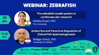 Webinar: Zebrafish as experimental model for research