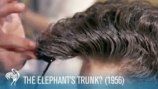 The Elephant's Trunk?: 1950's Men's Hair Styles (1956) | British Pathé