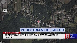 Pedestrian dies after being struck by vehicle on Route 190 in Enfield