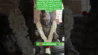 సంతాన సుబ్రహ్మణ్యస్వామి దర్శనం,శ్రీశైలం #subrahmanyaswamy#godstatus #santhanam#sowbhagyam #subscribe